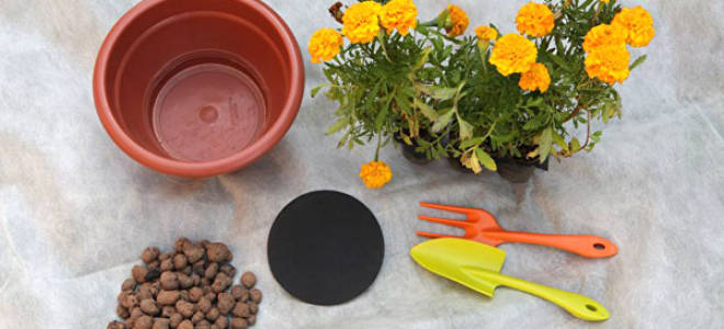 Дренаж для цветов что это такое