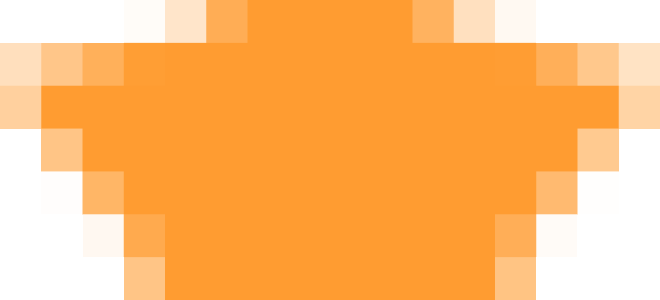 Орхидея в колбе