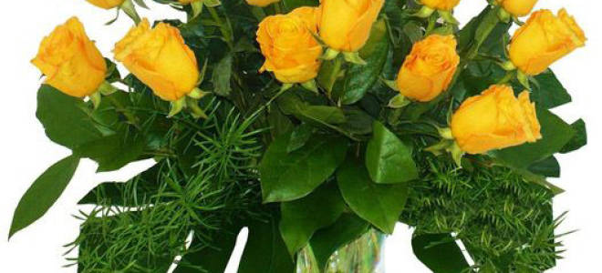 Мелкие желтые цветочки название