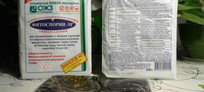 Как обработать орхидею фитоспорином