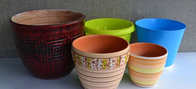 Кашпо для орхидей своими руками