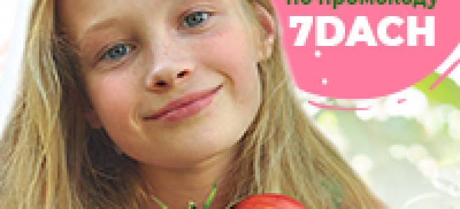 Лапчатка уход и выращивание