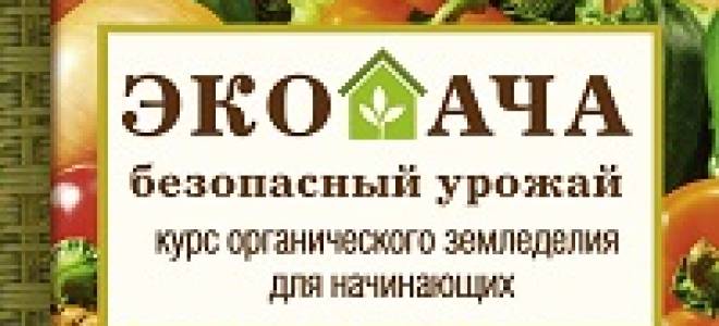 Как улучшить землю на участке